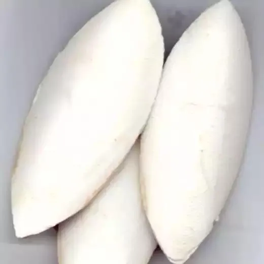 bulk high quality cuttlebone cuttle fish bone cuttlefish bone for birds 