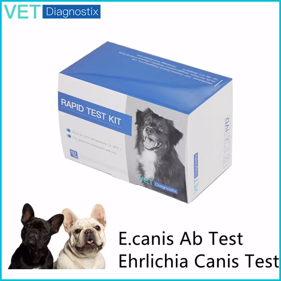 Rapid Ehrlichiosis Test Kit Ehrlichia Canis Rapid Test Kit in Dogs