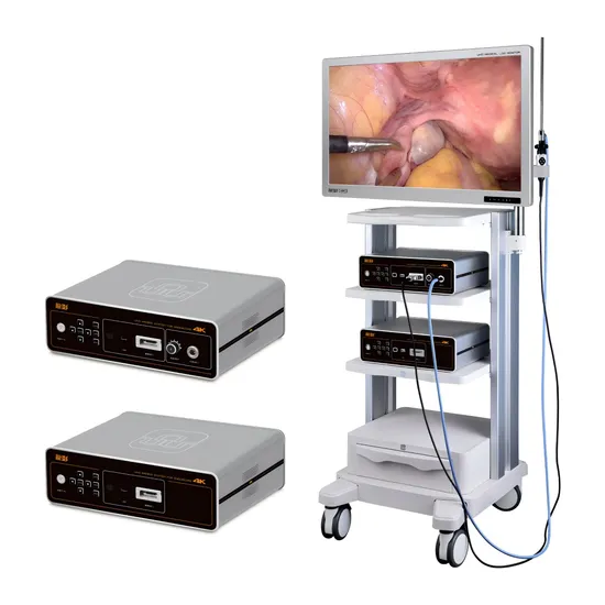 China ISO CE Integrated 3CMOS 4K HD FHD Ent Video Portable Veterinary Inspection Spinal Flexible Digital Endoscope Price Veterinary Olympus Medical Endoscope 