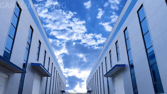 OEM Service Chickens Poultry Medicine Chemical Drug Kanamycin Sulfate API Raw Material Powder Broad